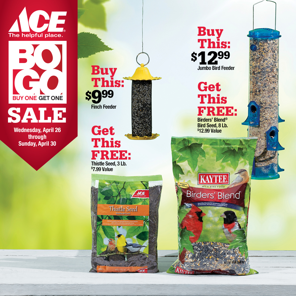 Buy One Get One Bird Food/Feeder