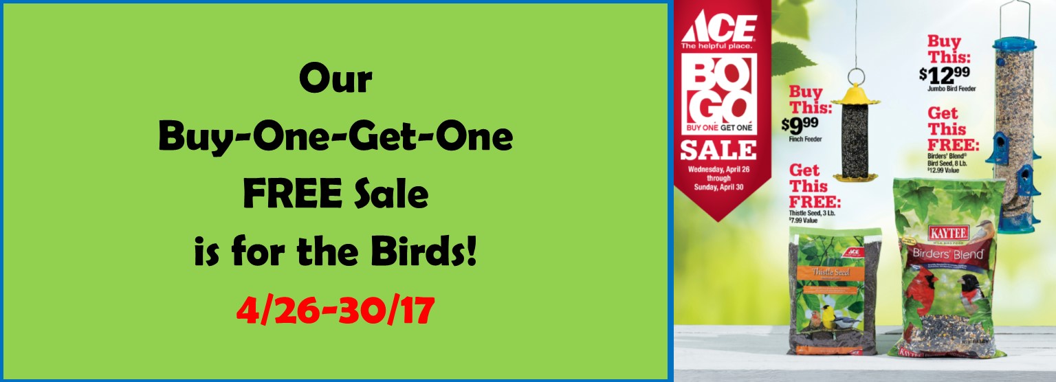 BOGO Sale Bird Cover