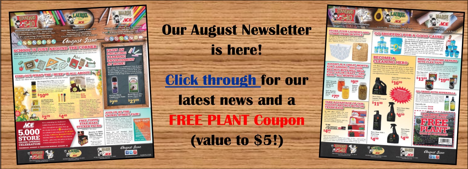 August Newsletter