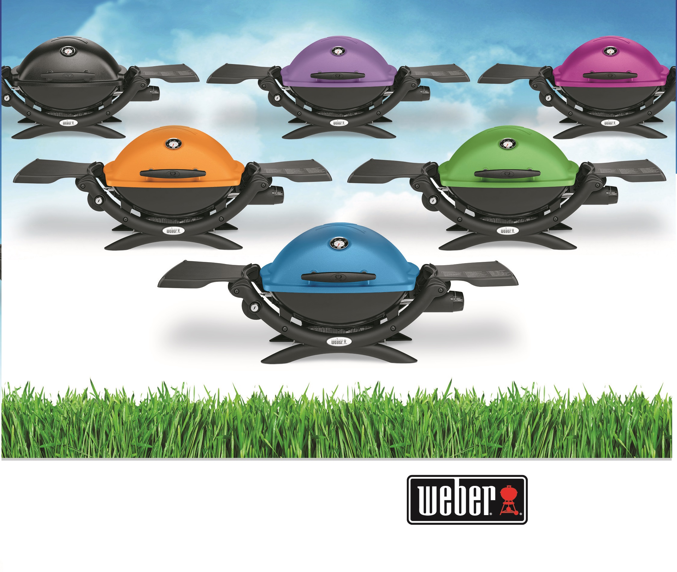 Weber Q Colors