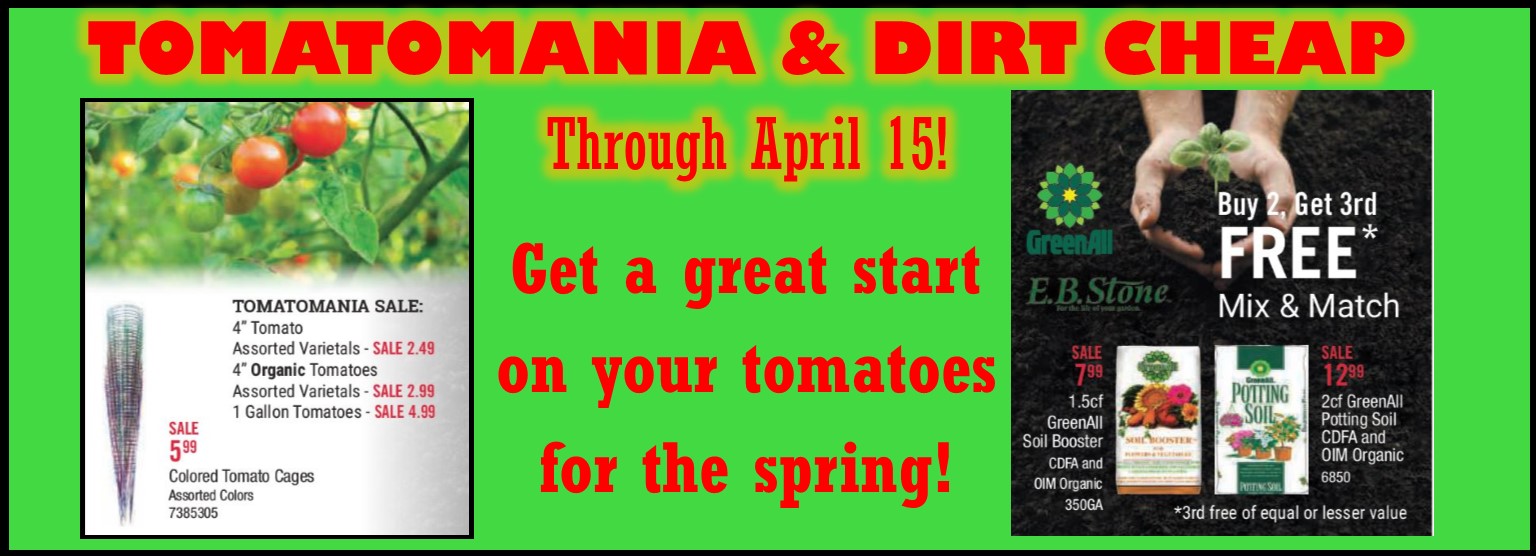 Tomatomania and Dirt Cheap through 4/15