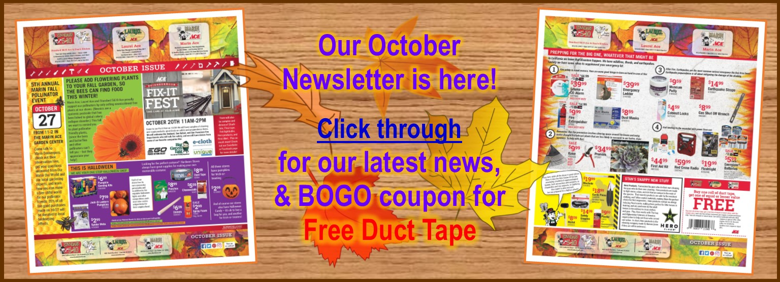 Oct newsletter