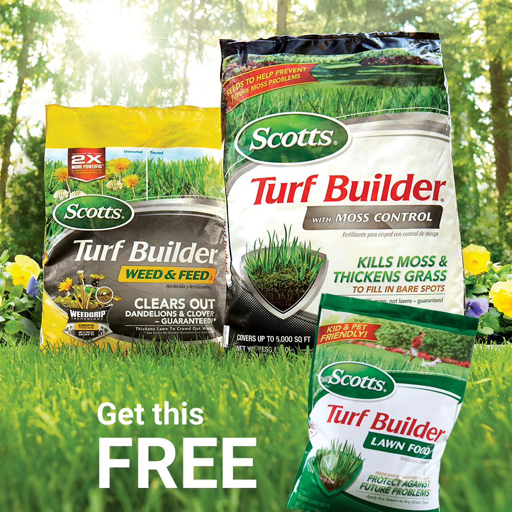 April 2019 - Scotts Turf Builder 1