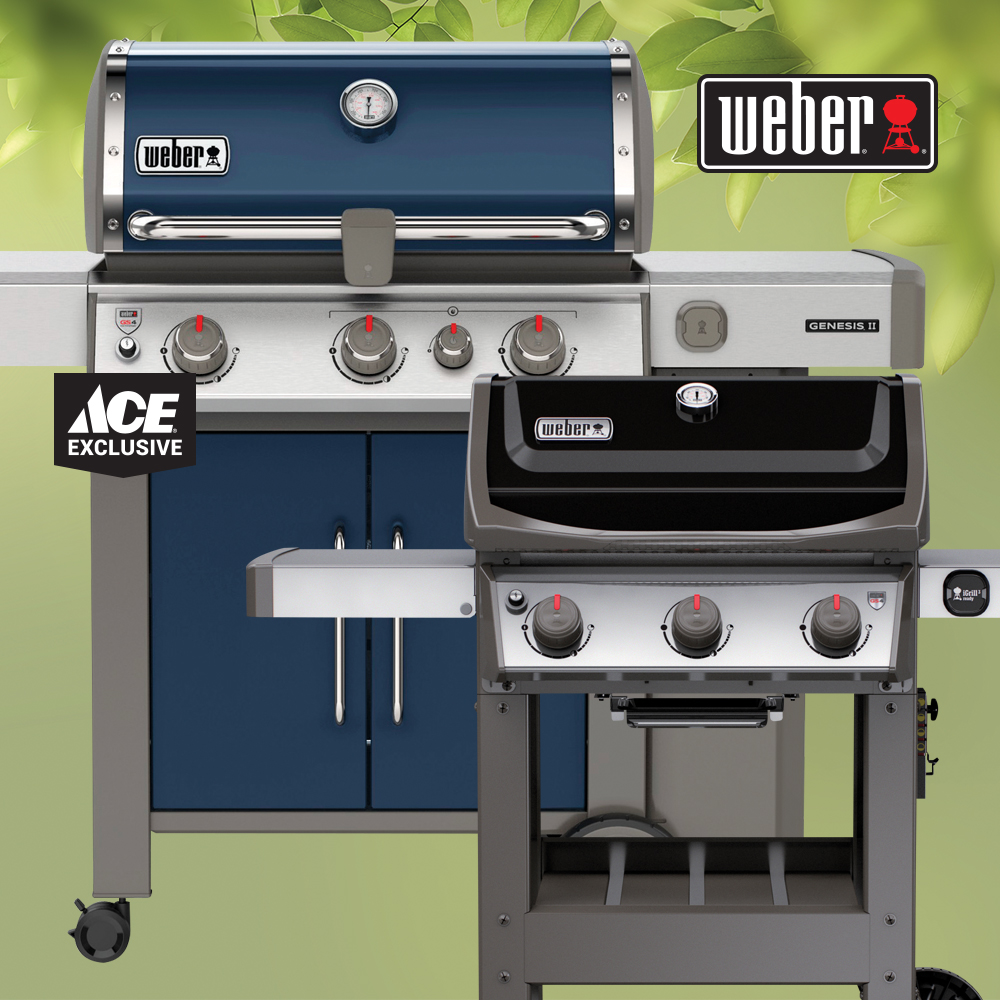 Weber Indigo