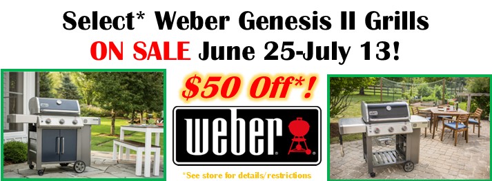 Weber Genesis II Sale