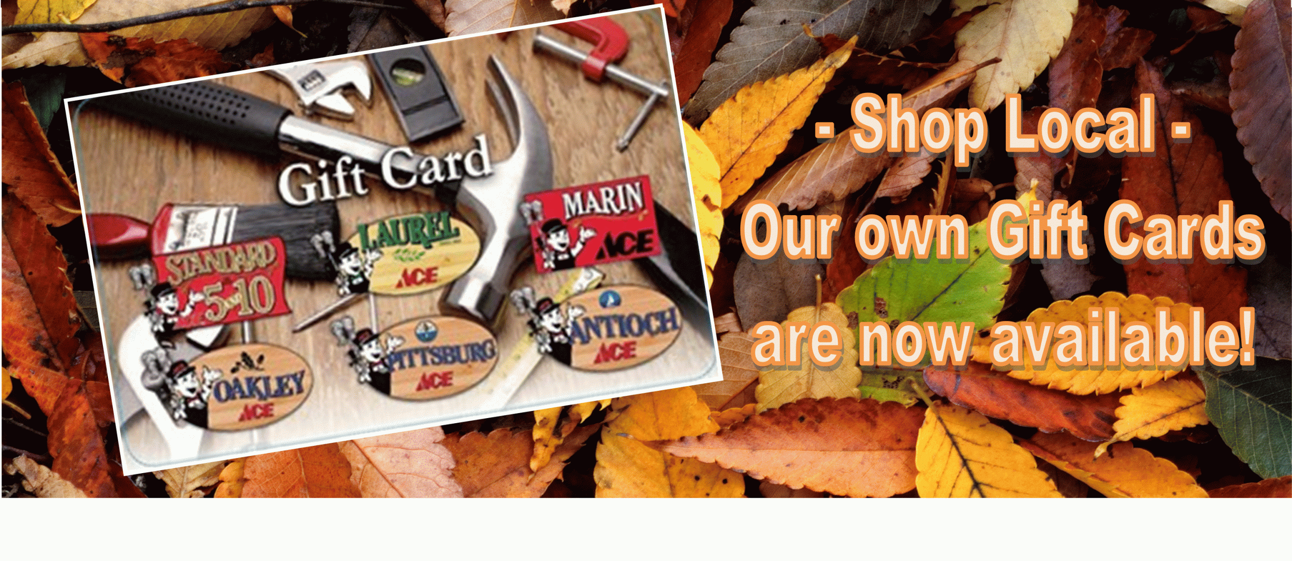 6 store gift card fall