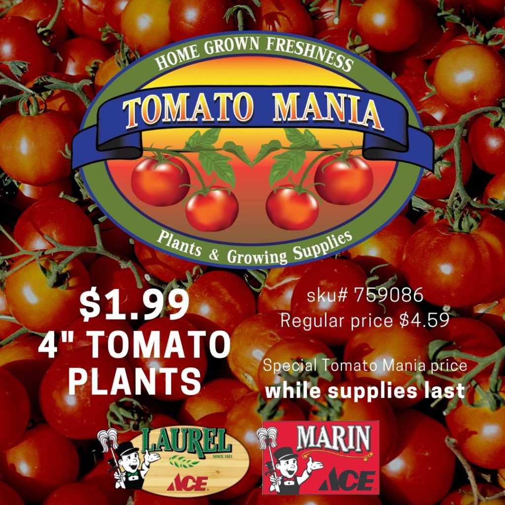 Tomatomania $1.99